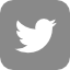 Twitter icon